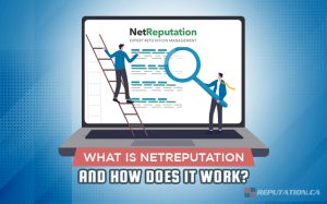 Что такое NetReputation и как она работает